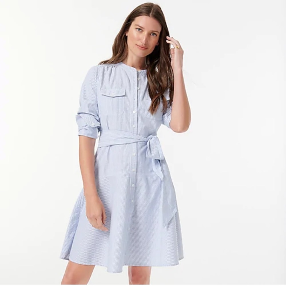 J.Crew Oxford pink and white shirt dress